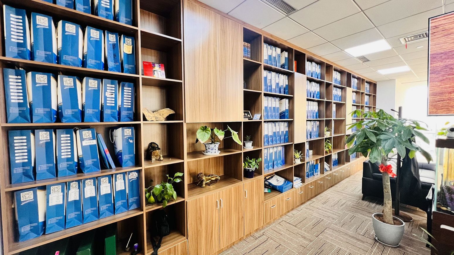 成立影视制作公司的特殊资质办理如何进行？